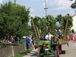 hopfenfest40_080