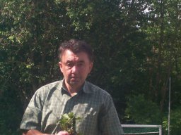 Platzsanierung_11